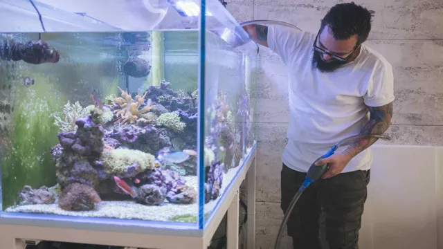 how to become an aquarium maintenance professional