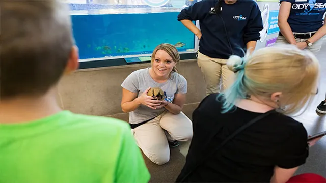 How to Become an OdySea Aquarium Animal Ambassador: Tips and Tricks to Enter the Program Successfully