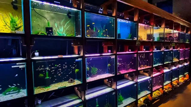 How to Become an Aquarium Coop Member: Your Step-by-Step Guide