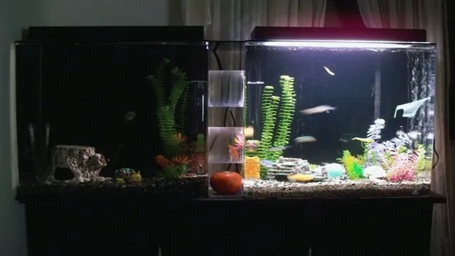 how to best decorate 50 gal aquarium