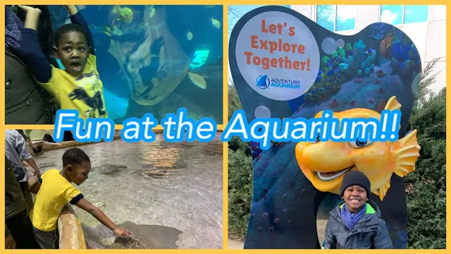 how to bewt level 5 on adventure aquarium dungen mission