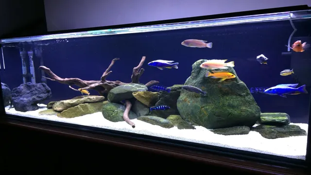 how to black background aquarium