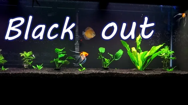 how to blackout back of aquarium