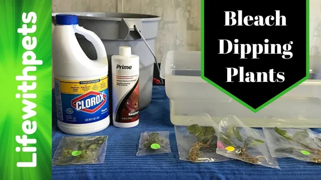 how to bleach an aquarium