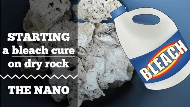 How to Bleach Aquarium Rocks: Tips and Tricks for a Sparkling Clean Tank