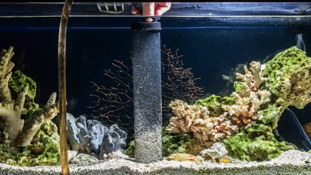 how to boil aquarium gravel