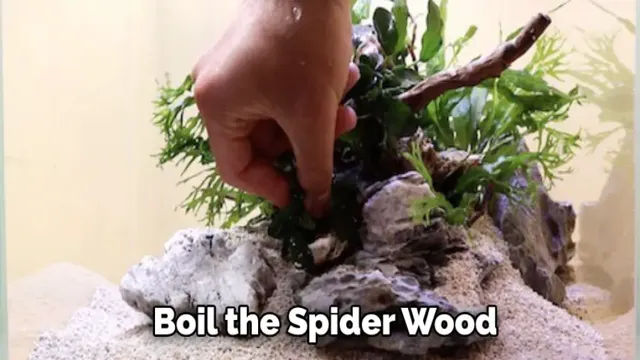 how to boil aquarium wood