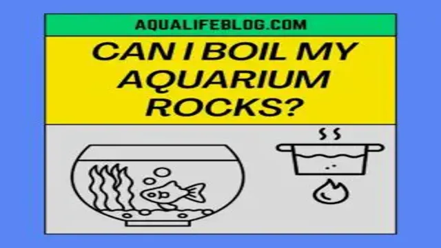 How to Boil Rocks for Aquarium: A Step-by-Step Guide to Properly Cleanse Your Fish Tank Rocks