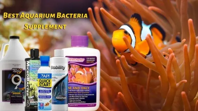 how to boost good bacteria in aquarium