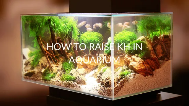 How to Boost KH for Aquarium: Tips and Tricks for Optimal Water Parameters