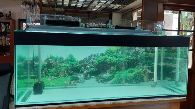 how to brass a rimless aquarium
