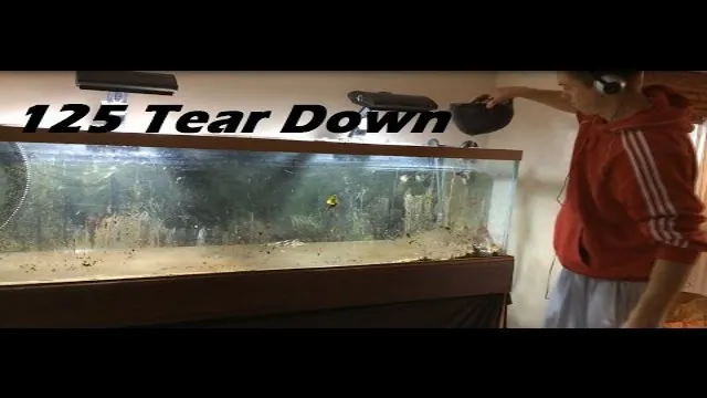 how to break down an aquarium