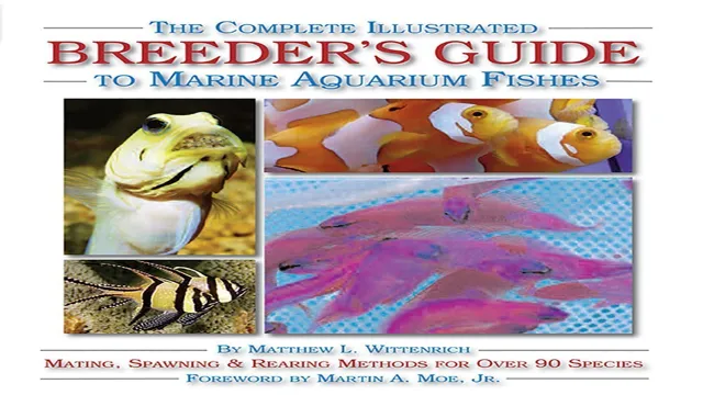 How to Breed Aquarium Fish for Profit: A Comprehensive Guide for Successful Fish Farming