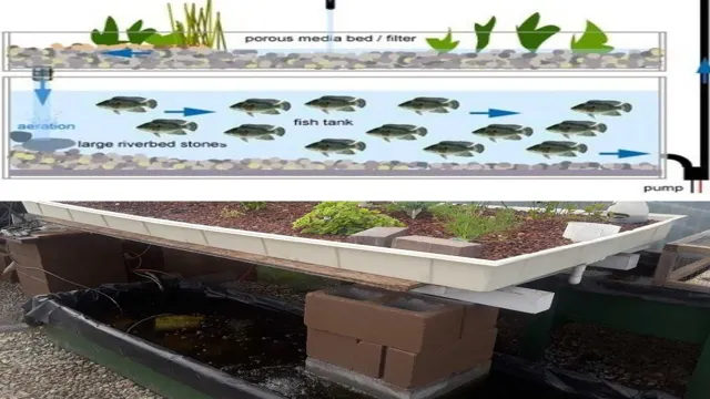 How to Breed Tilapia in Aquarium Like a Pro: Tips and Techniques