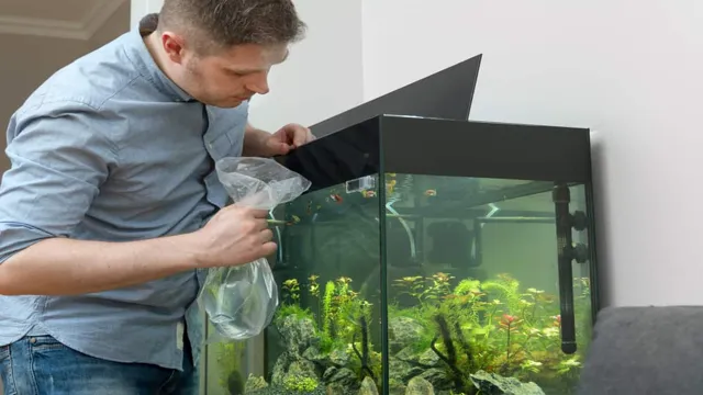how to bring down aquarium ph