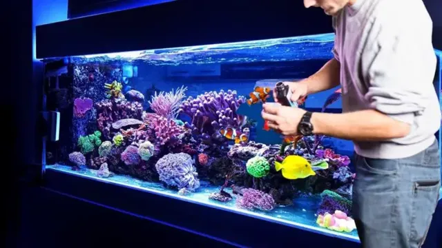 how to bring down no3 levels in aquarium