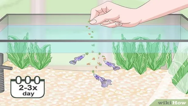 how to bring down no3 levels in aquarium