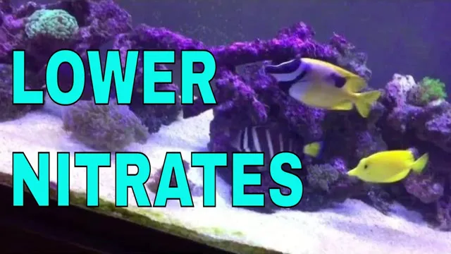 how to bring nitrate down in an aquarium