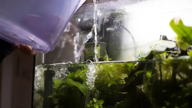 how to bring nitrites down in aquarium