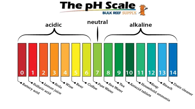 How to Bring Up pH in Aquarium: Tips and Tricks for Optimal Fish Health