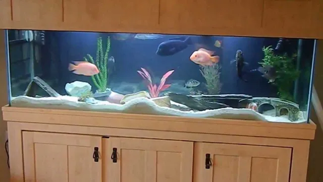 how to build 150 gallon acrylic aquarium
