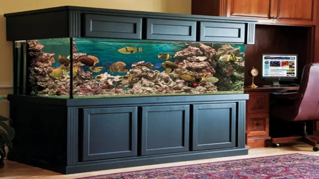 how to build 200 gallon aquarium