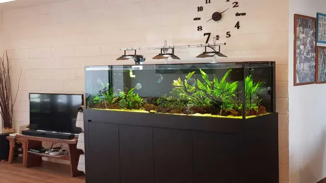 How to Build a 6 Foot Aquarium Stand: A Step-by-Step Guide!