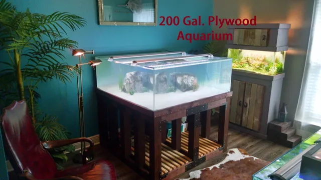 How to Build a 200 Gallon Plywood Aquarium: A Step-by-Step Guide for Aquatic Enthusiasts