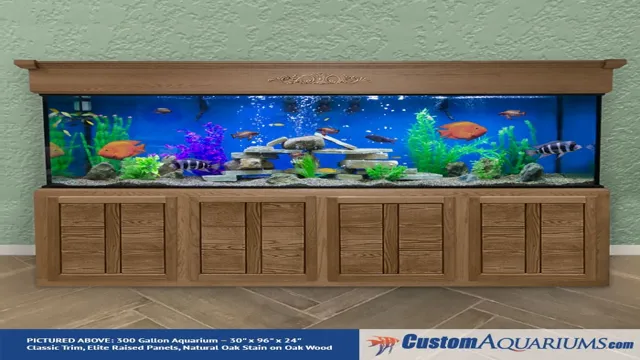 How to Build a 300 Gallon Glass Aquarium: A Step-by-Step Guide