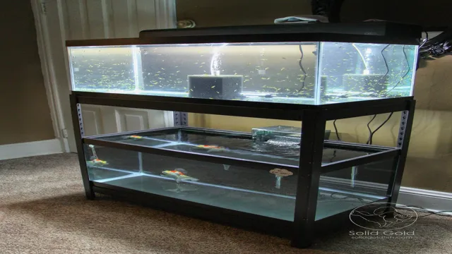 How to Build a 40 Gallon Breeder Aquarium Stand: A Step-by-Step Guide