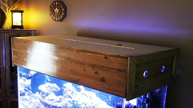 how to build a aquarium hood