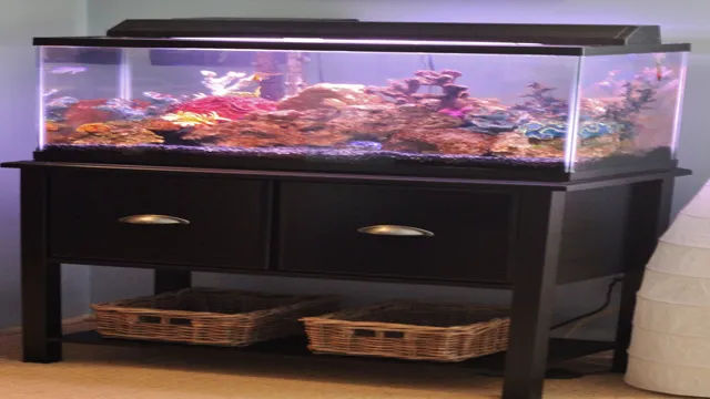 how to build a beautiful petsmart aquarium