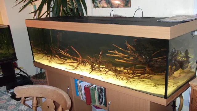 how to build a blackwater aquarium