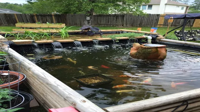 How to Build a Bog in an Aquarium: Step-by-Step Guide to Creating a Natural Habitat