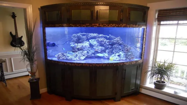 how to build a bow front aquarium stand