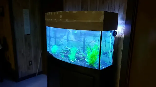 how to build a canopy for a bow front aquarium