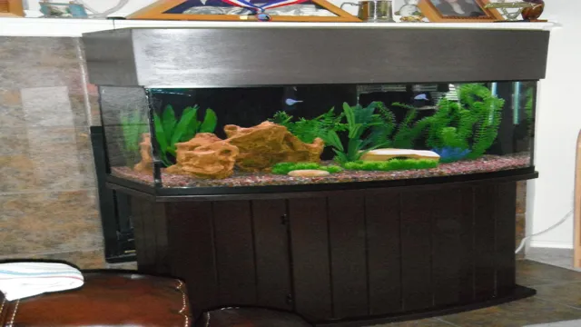 how to build a canopy for a bow front aquarium