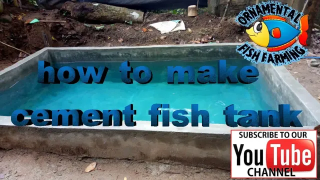 how to build a cement aquarium