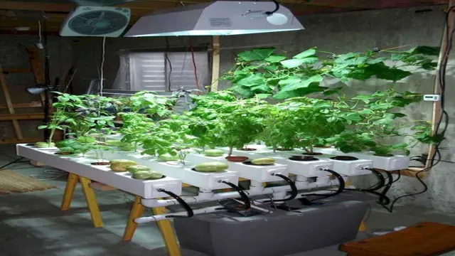 how to build a cheap hydroponic system aquarium