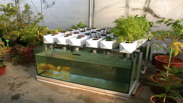 How to Build a Cheap Hydroponic System Aquarium for Your Home Garden