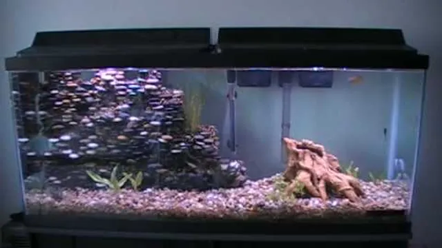 How to Build a Cliff in Aquarium: Step-by-Step Guide for a Stunning Underwater Landscape