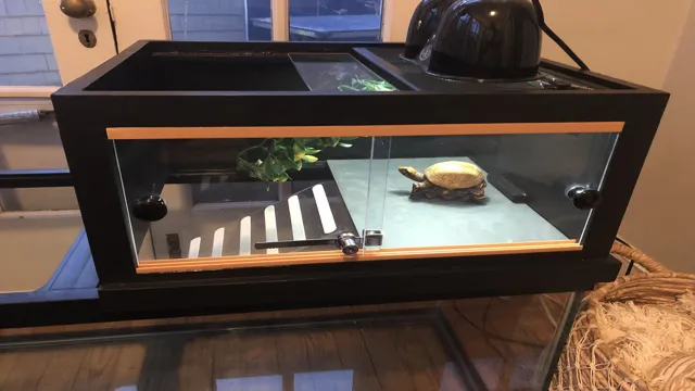 how to build a custom aquarium for a turtle
