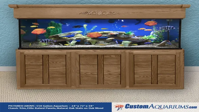 How to Build a Custom Glass Aquarium: Tips and Tricks for…