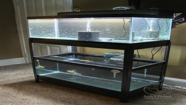 How to Build a Double 40 Gallon Aquarium Stand: A Step-by-Step…