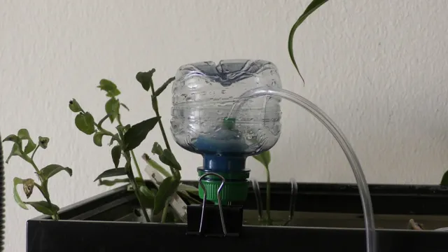 How to Build a Filter Without an Air Pump for Aquarium: A Step-by-Step Guide