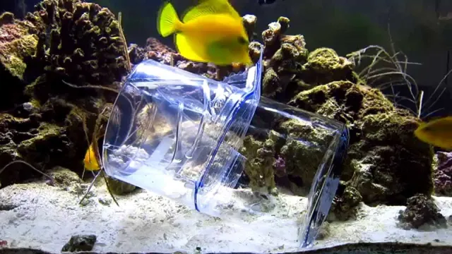 how to build a fish trap for aquarium