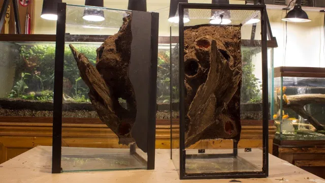 How to Build a Foam Aquarium Background Reptile: A Step-by-Step Guide