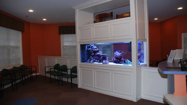 how to build a glass saltwater aquarium