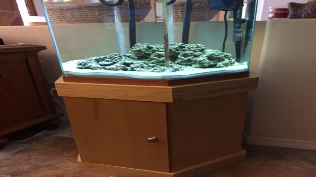 How to Build a Hexagon Aquarium Stand: A Step-by-Step Guide