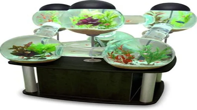 How to Build a Labyrinth Aquarium – Easy DIY Guide for Aquatic Enthusiasts